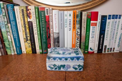 a shelf of books with a blue and white box at Wyre Forest Cottage in Bewdley