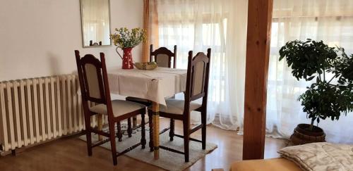 a dining room with a table with chairs and a radiator at Stan na dan in Zaječar