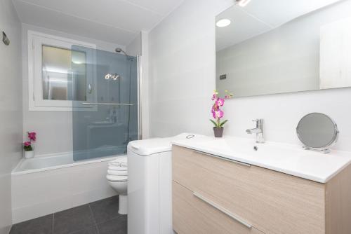 W łazience znajduje się umywalka, toaleta i prysznic. w obiekcie Apartamento Avet w mieście El Tarter