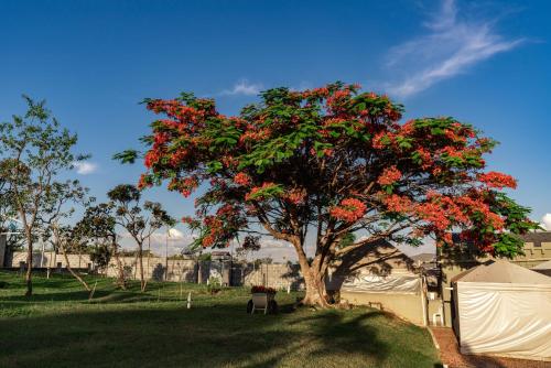a tree with red flowers in a yard at Pousada Camelot Inn in Alto Paraíso de Goiás
