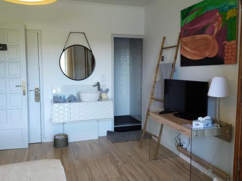 ein Wohnzimmer mit einem TV und einem Spiegel in der Unterkunft Ma villa au bord de l'eau in Miremont