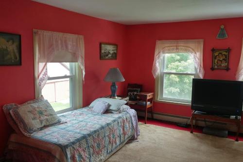 sypialnia z czerwonymi ścianami, łóżkiem i telewizorem w obiekcie The Open Door in Jefferson NY w mieście Jefferson