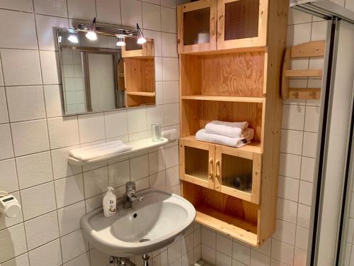 uma casa de banho com um lavatório e um espelho em Historische Ferienwohnung mit Sauna in Lich em Lich
