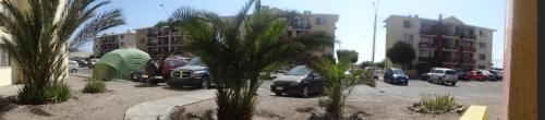 ein Parkplatz mit geparkten Autos und Palmen in der Unterkunft D12-7 Depto diario a pasos de la playa Arica in Arica