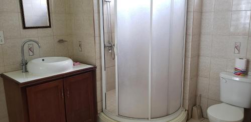 a bathroom with a shower and a sink and a toilet at Unit 5/6 Private Apartment - Roseau in Roseau