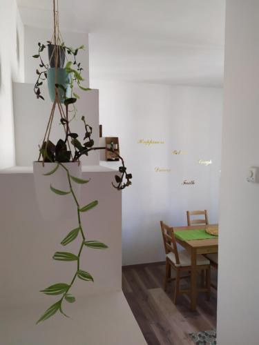 a room with a plant on a wall with a table at Casa Violina in San Pietro Avellana