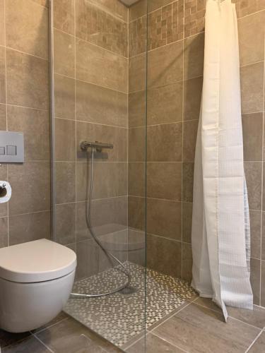 une salle de bain avec toilettes et douche dans l'établissement Le coquillage - parking privé -, à Deauville