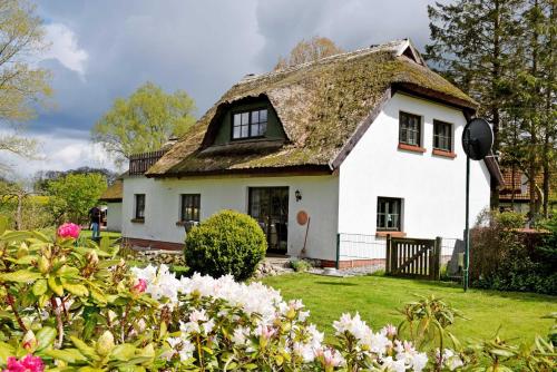 ein weißes Haus mit einem Strohdach in der Unterkunft Ferienhaus und -wohnung unterm Reetdach in Woorke in Hof Patzig