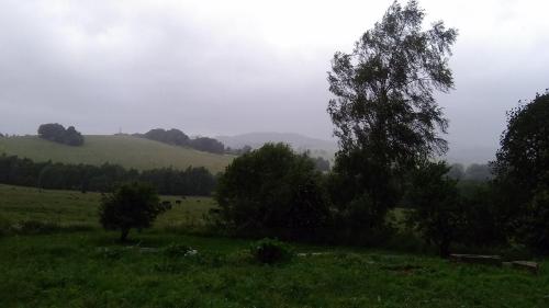 a green field with trees and hills in the background at Novohradský ráj aneb Oáza klidu na samotě u lesa in Benešov nad Černou
