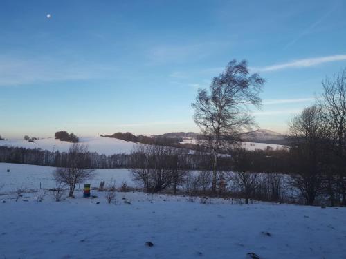 a snow covered field with a tree in the distance at Novohradský ráj aneb Oáza klidu na samotě u lesa in Benešov nad Černou