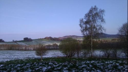 a field with trees and snow on the ground at Novohradský ráj aneb Oáza klidu na samotě u lesa in Benešov nad Černou