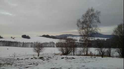 a field covered in snow with trees and mountains at Novohradský ráj aneb Oáza klidu na samotě u lesa in Benešov nad Černou