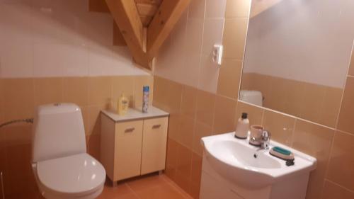 Kúpeľňa v ubytovaní Novohradský ráj aneb Oáza klidu na samotě u lesa