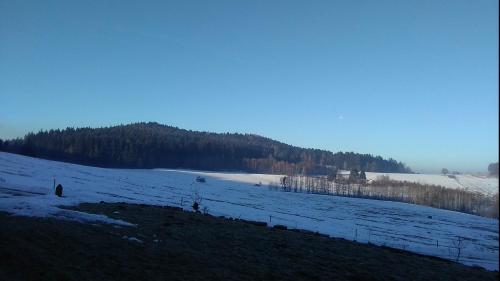 a snow covered field with trees in the background at Novohradský ráj aneb Oáza klidu na samotě u lesa in Benešov nad Černou
