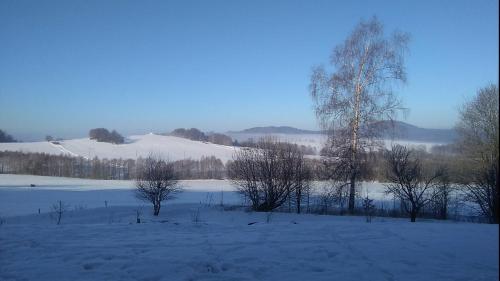 a snow covered field with trees and a snow covered field at Novohradský ráj aneb Oáza klidu na samotě u lesa in Benešov nad Černou