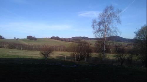 a field with a tree and a hill in the background at Novohradský ráj aneb Oáza klidu na samotě u lesa in Benešov nad Černou