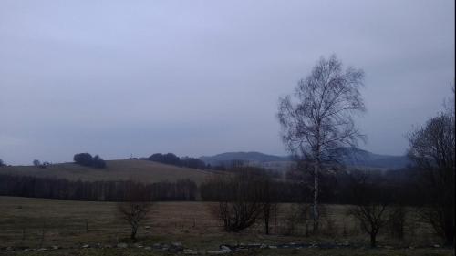 a tree in a field with hills in the background at Novohradský ráj aneb Oáza klidu na samotě u lesa in Benešov nad Černou