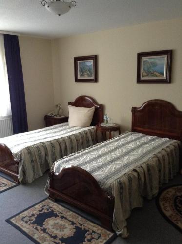 een slaapkamer met 2 bedden en 2 tapijten bij Hotel Zum Stresemann in Göttingen