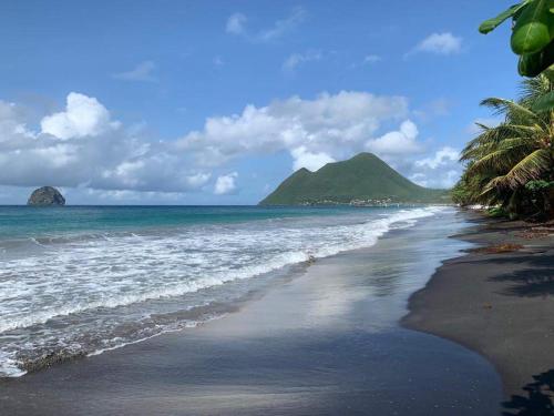 a beach with palm trees and the ocean at Beau T2 Passion Vacance in Le Diamant