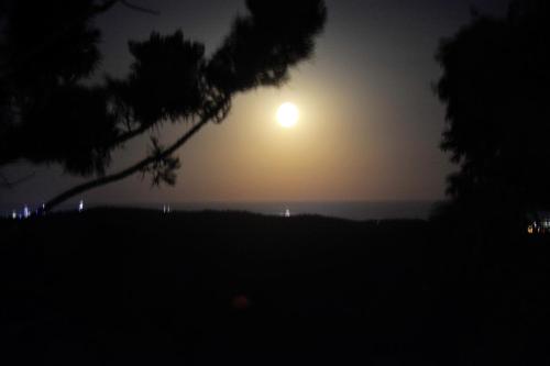 a full moon rising over the ocean at night at Willow Cabin in Beechmont