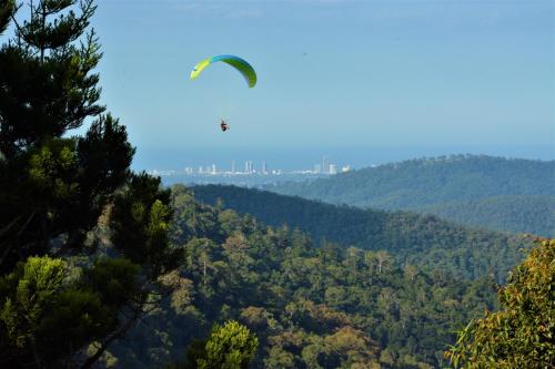 a paraglider flying in the sky over a forest at Willow Cabin in Beechmont