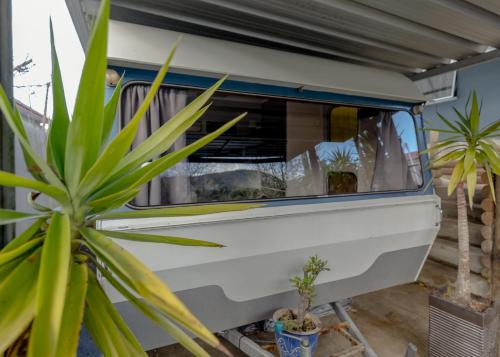 a white van parked next to a potted plant at Tombstone Motel, Lodge & Backpackers in Picton