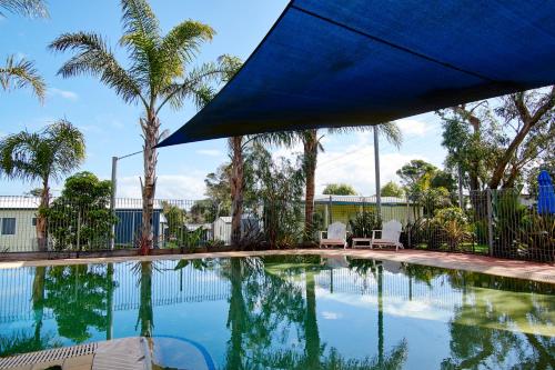 a swimming pool with a blue umbrella and palm trees at Amaroo Park in Cowes