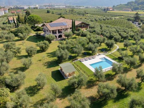 an aerial view of a house with a swimming pool and a vineyard at O_live Agriresort in Arco