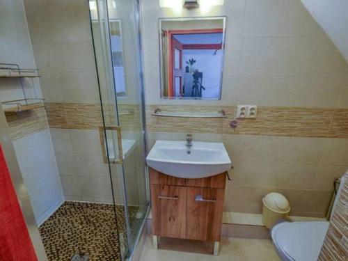 La salle de bains est pourvue d'un lavabo et d'une douche. dans l'établissement Bogate Studio, à Żywiec