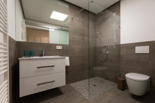 a bathroom with a shower and a toilet and a sink at Boardinghouse E68 in Schliengen