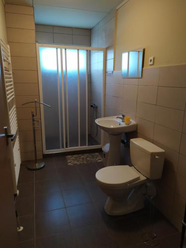 a bathroom with a toilet and a sink and a shower at Apartmany Bobule in Deštné v Orlických horách