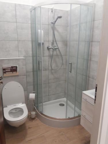 een badkamer met een douche en een toilet bij Willa Wygoda in Białystok