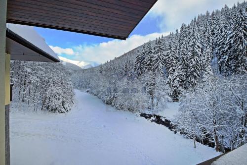 a view of a snow covered forest with a river at St. Peter Apartment in Špindlerův Mlýn