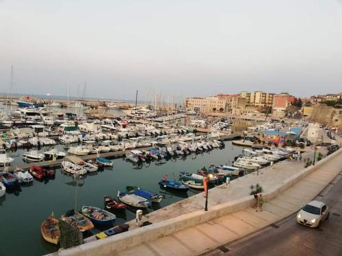 a bunch of boats are docked in a harbor at Agorà Bisceglie in Bisceglie
