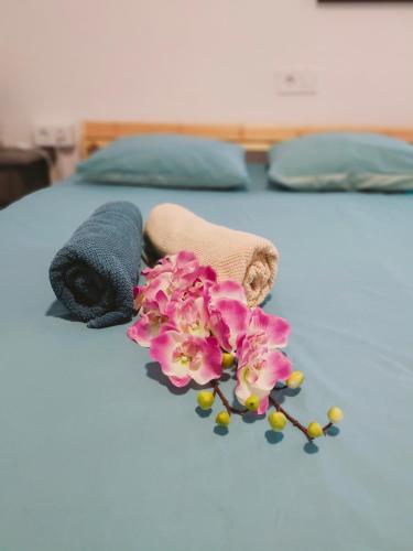 Cactus 2 bedroom Apartment on Calle San Miguel Minutes from the beach BY NAMASTE ELITE