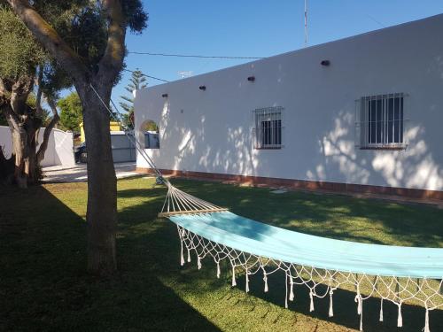 a hammock hanging from a tree next to a building at Casa Angy 3 in Zahora