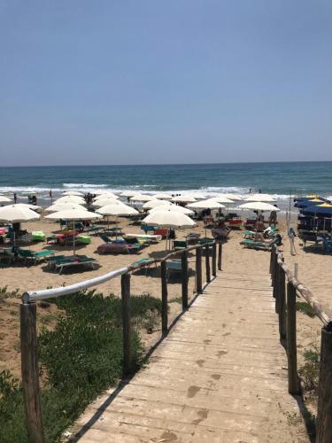 a beach with a bunch of umbrellas and the ocean at Residenza Le Spiagge in Sperlonga