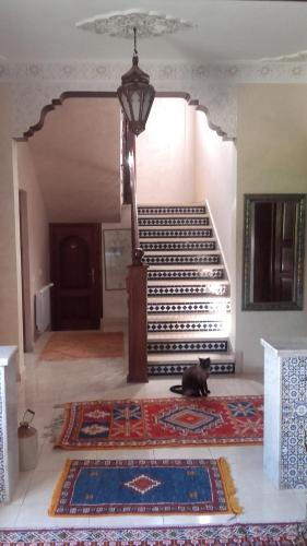 a black cat sitting on the floor next to a staircase at Riad TANJIL in Casablanca