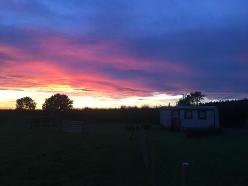 Springwood Shepherd Huts Glamping York photo 27