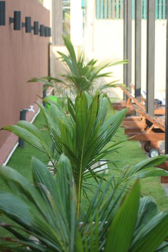 Zahrada ubytování Saprin Beach Resort