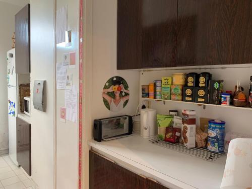 eine Küche mit einer Arbeitsplatte und einer Mikrowelle in der Unterkunft Jolie chambre privée à Paris dans appart de 75m2 in Paris