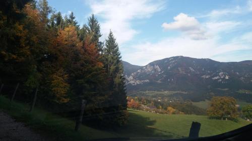 a view of a field with trees and mountains at Ferienwohnung Holzer in Payerbach