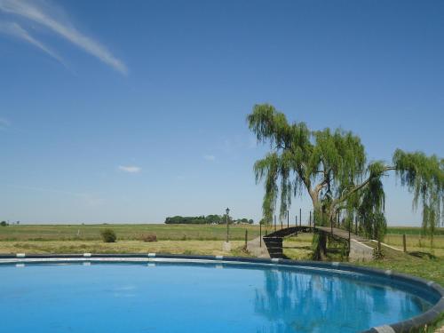 Gallery image of Puesto Las Totoras in San Antonio de Areco