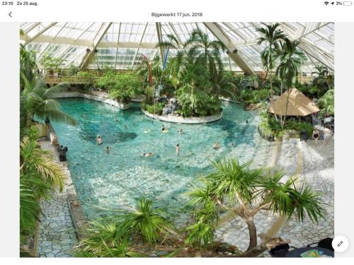 a large pool in a greenhouse with people in it at Design B&B holiday cottage in Spakenburg in Spakenburg