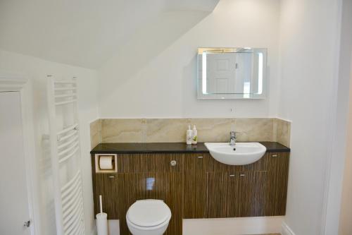 a bathroom with a sink and a toilet and a mirror at glastonbury town garden house in Glastonbury