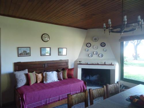 ein Wohnzimmer mit einem Sofa und einem Kamin in der Unterkunft Puesto Las Totoras in San Antonio de Areco