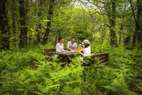 a group of people sitting at a picnic table in the woods at Abeliona Retreat in Ambeliona