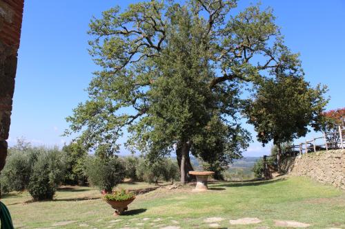 Borgo Cortinova Marrocco – Photos 5