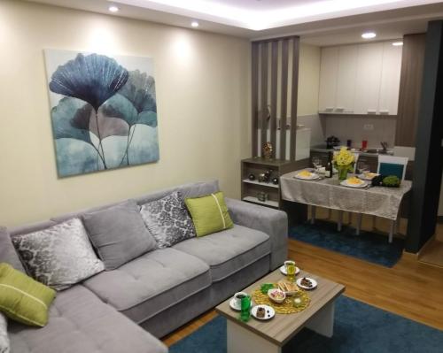 Gallery image of Apartman Montis Zlatibor in Zlatibor
