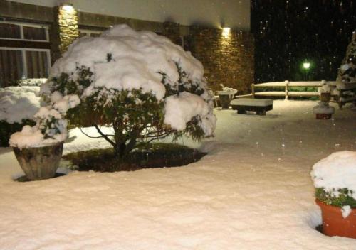 a tree covered in snow in a yard at Hotel Solana del Ter in Ripoll